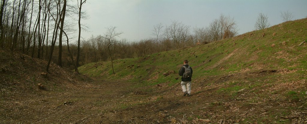 panorama.jpg