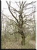 DSCF0156.JPG