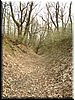 DSCF0157.JPG