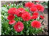 DSCF0164.JPG