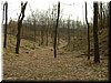 DSCF0167.JPG