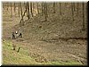 DSCF0171.JPG