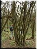 DSCF0172.JPG