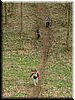 DSCF0174.JPG