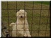 DSCF0175.JPG