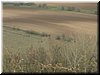 DSCF0178.JPG