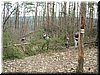 DSCF0182.JPG
