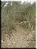 DSCF0183.JPG