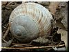 DSCF0184.JPG