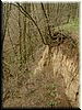 DSCF0187.JPG