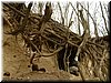 DSCF0190.JPG