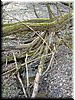 DSCF0194.JPG
