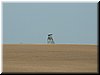 DSCF0198.JPG