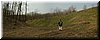 panorama.jpg