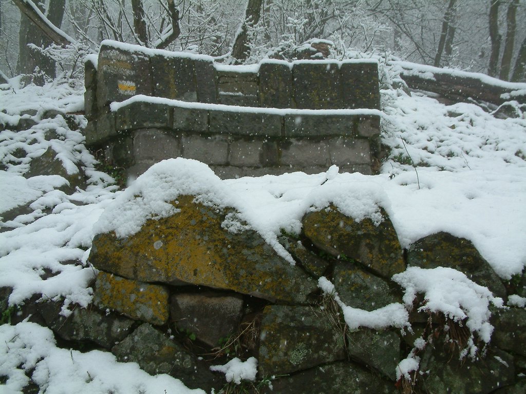DSCF0030.JPG