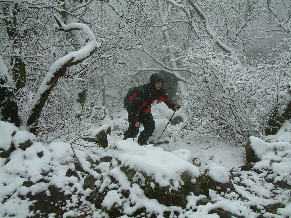 DSCF0031.JPG