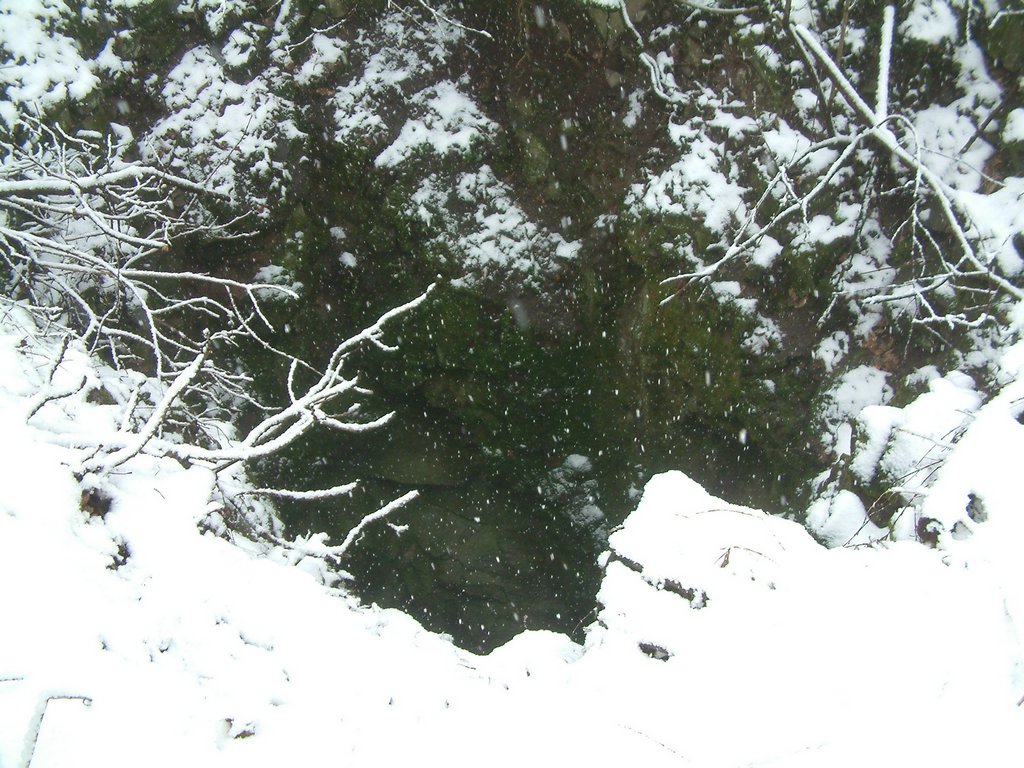 DSCF0032.JPG