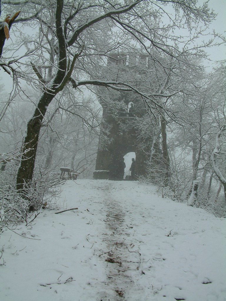 DSCF0033.JPG