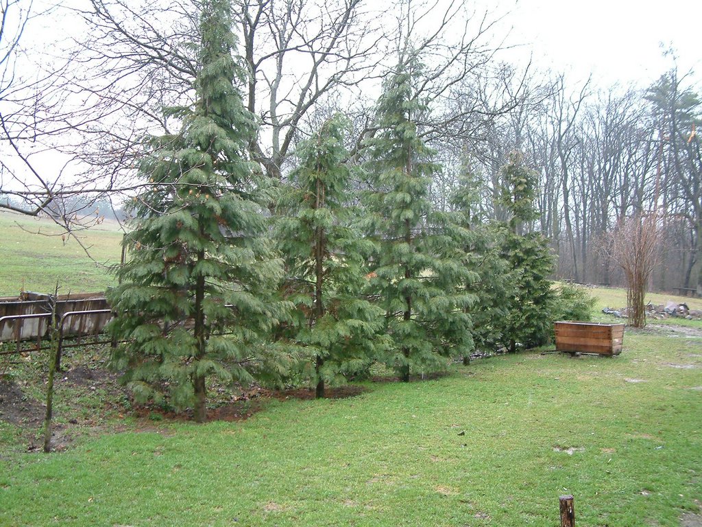 DSCF0038.JPG