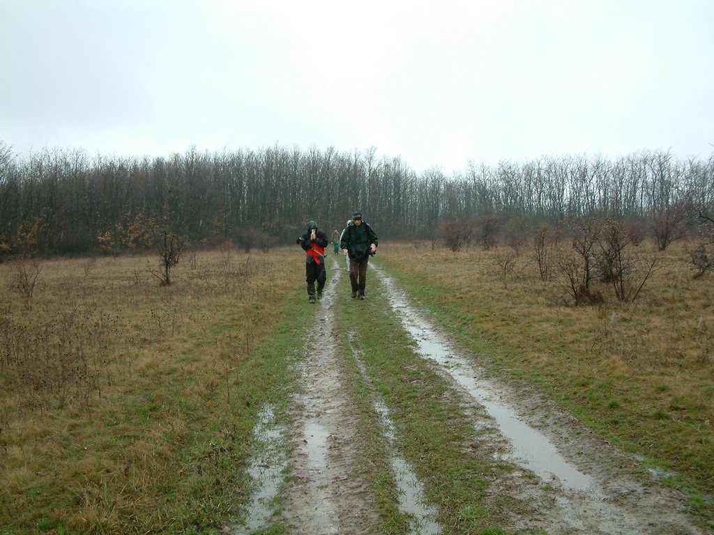 DSCF0040.JPG