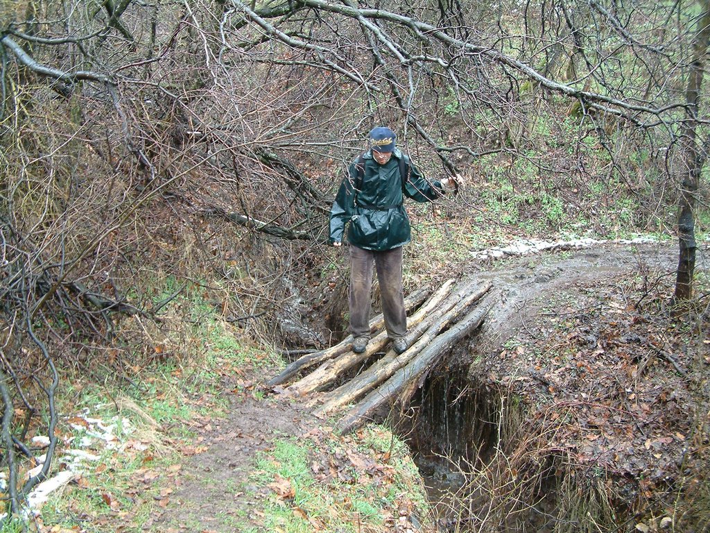 DSCF0043.JPG