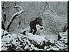DSCF0031.JPG