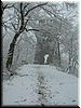 DSCF0033.JPG