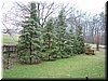 DSCF0038.JPG