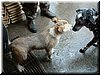 DSCF0039.JPG