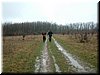 DSCF0040.JPG