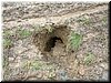 DSCF0048.JPG