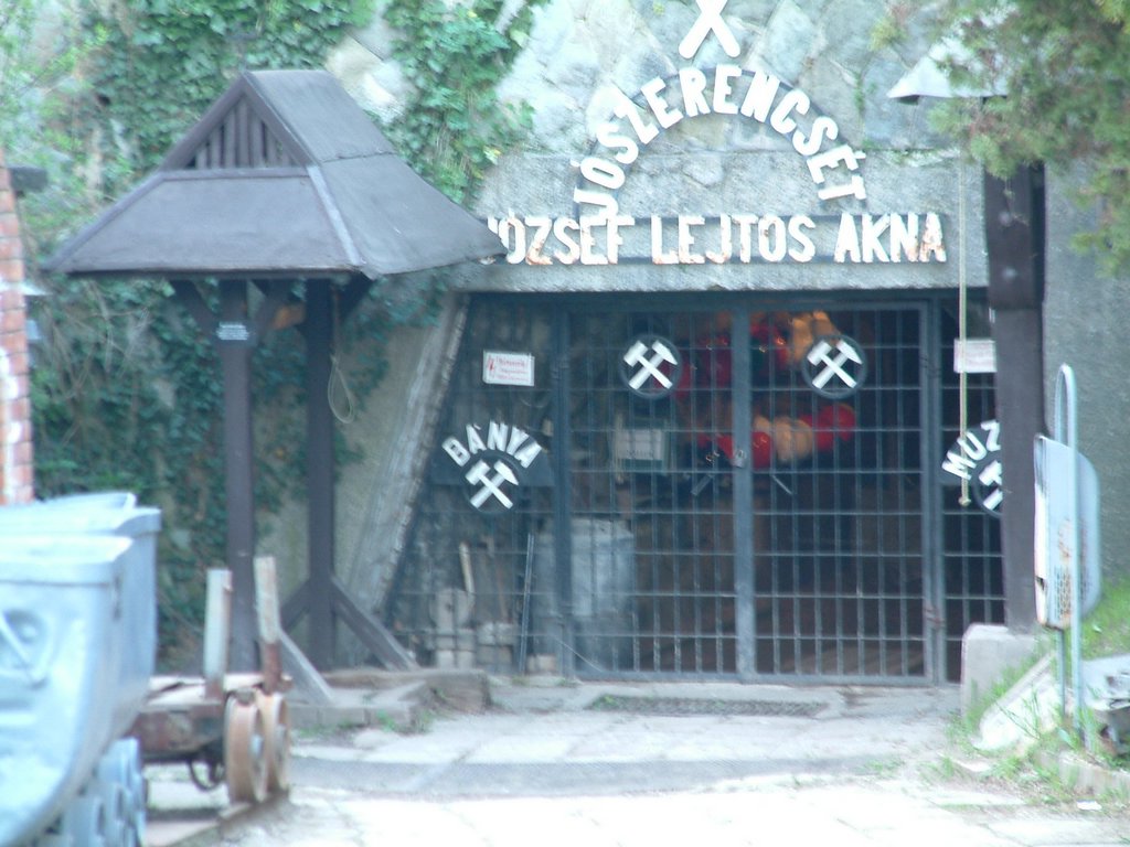 DSCF0003.JPG
