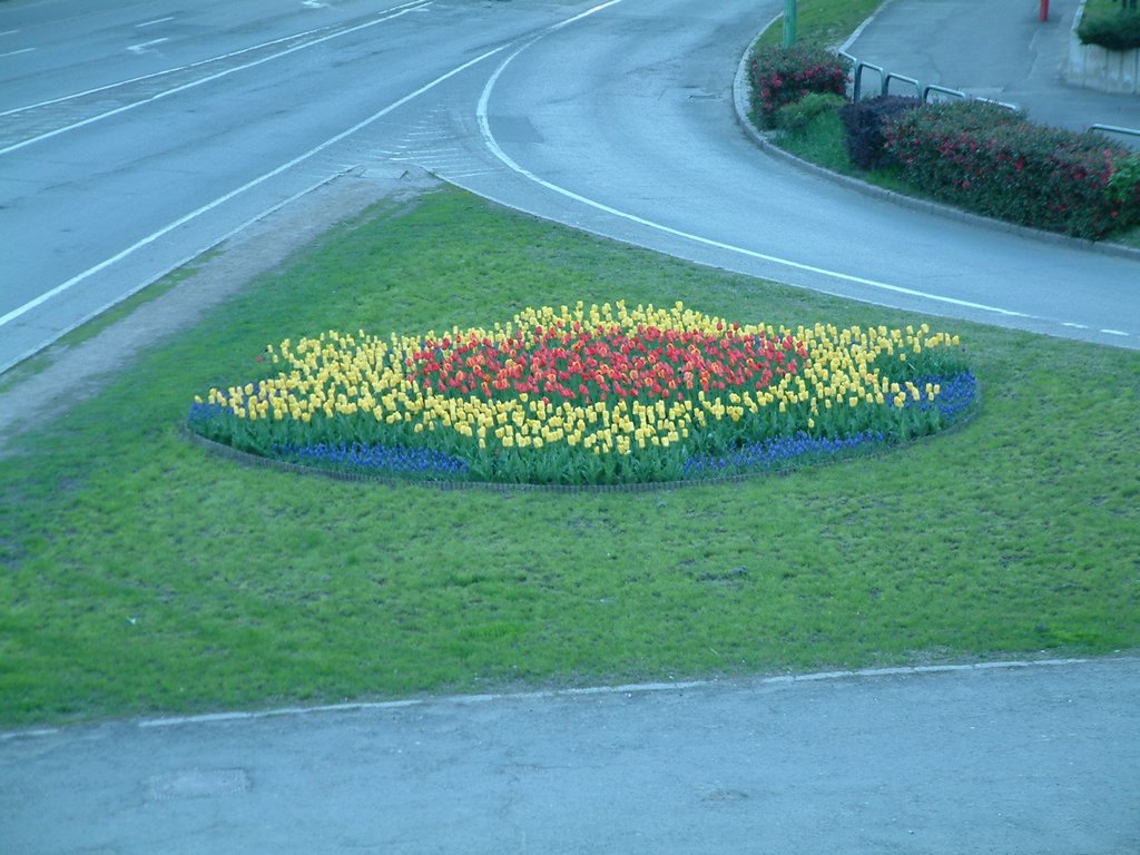 DSCF0009.JPG