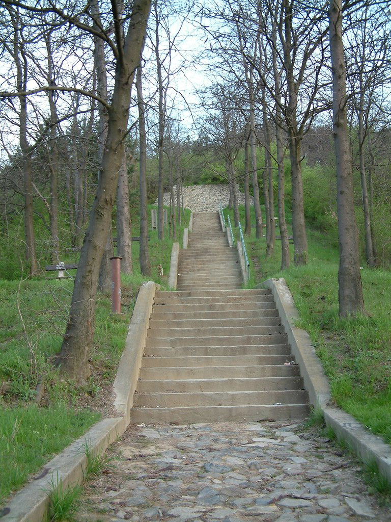 DSCF0017.JPG