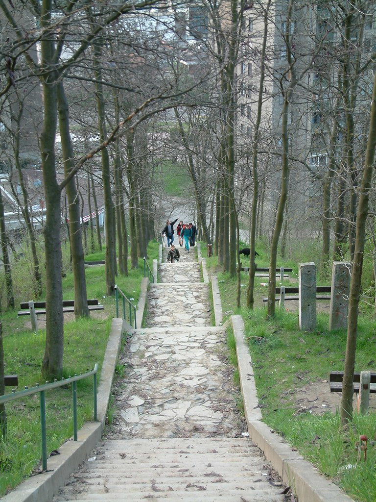 DSCF0018.JPG
