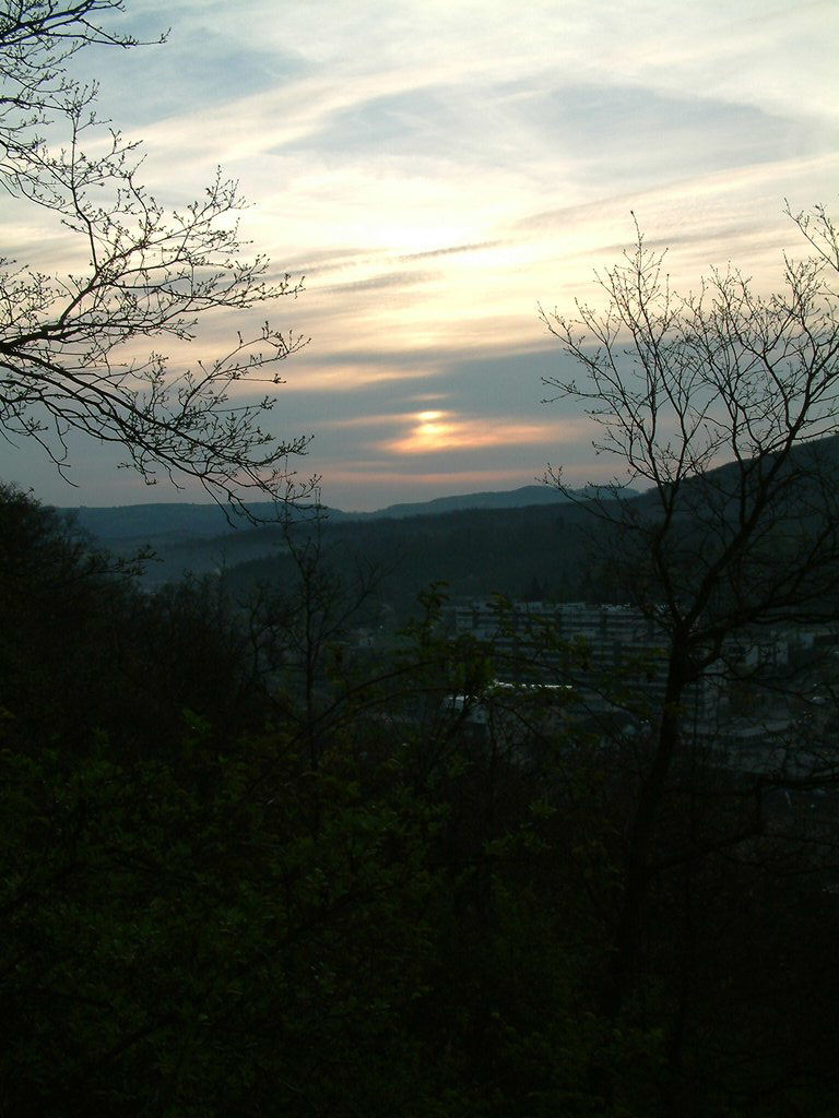 DSCF0019.JPG