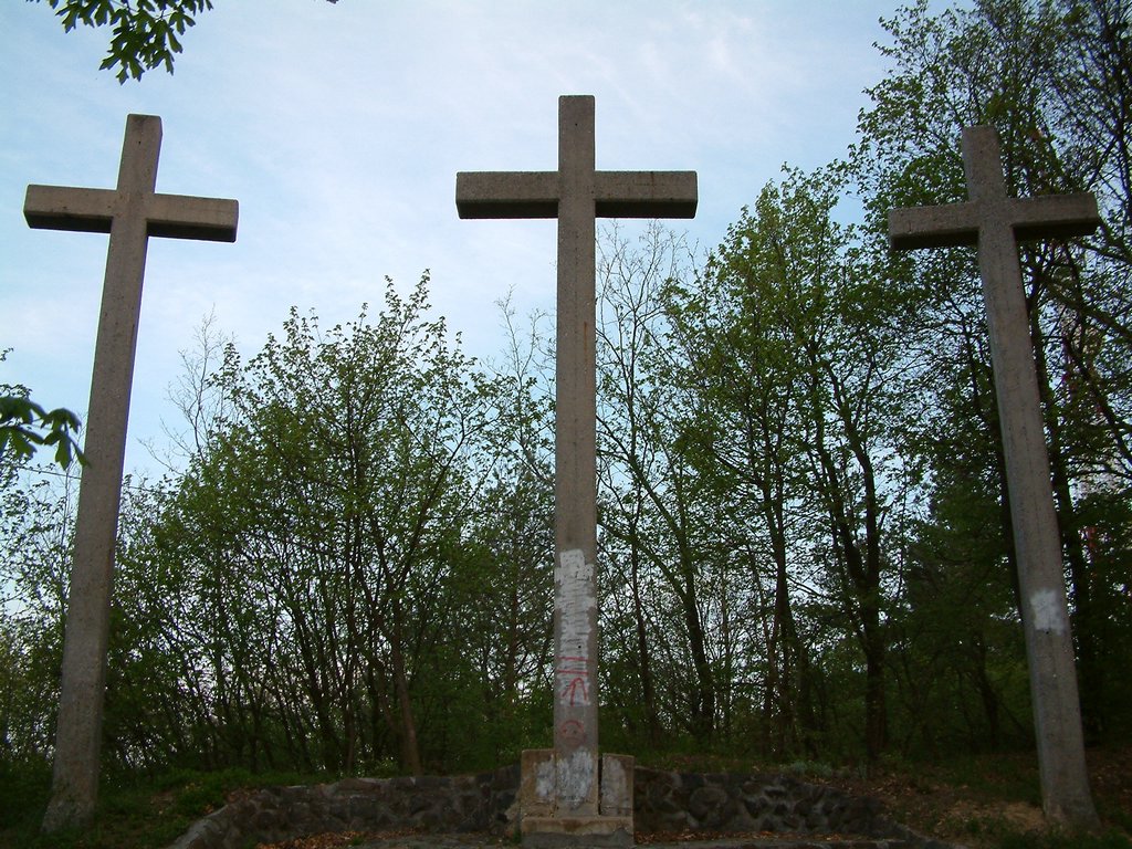 DSCF0020.JPG