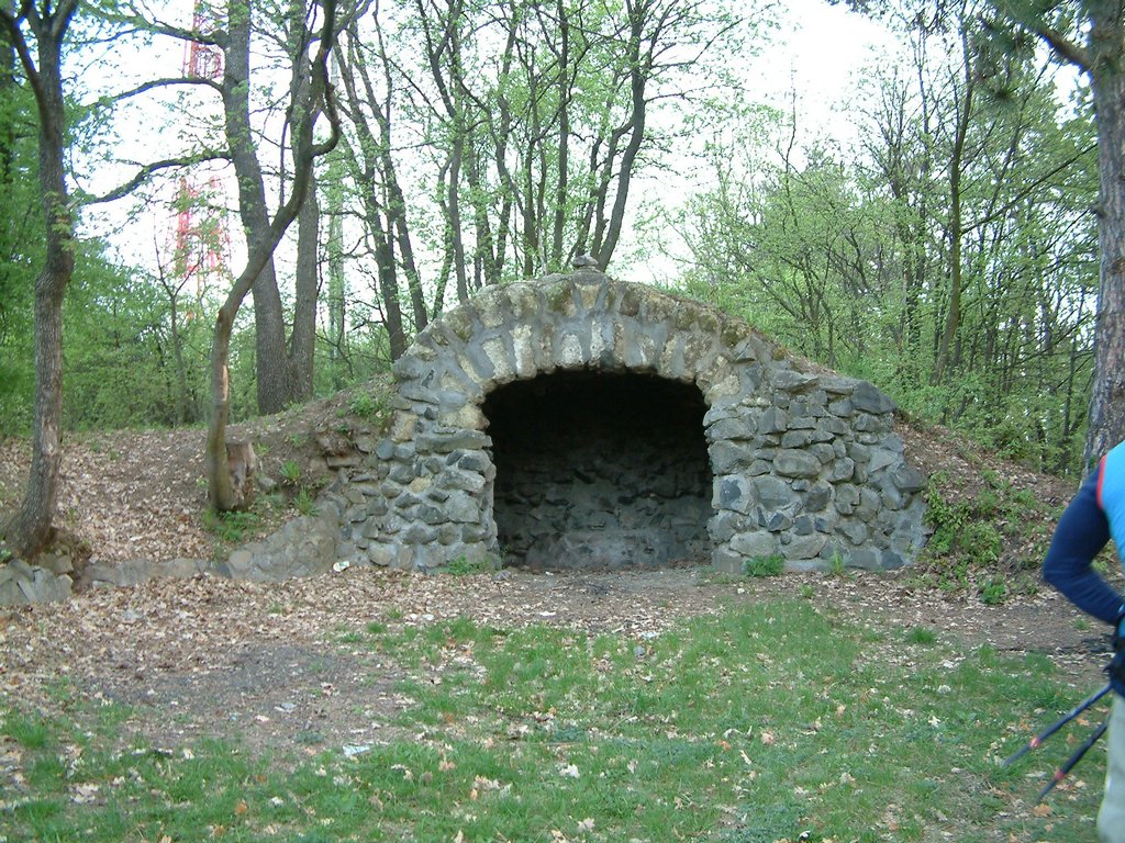 DSCF0021.JPG