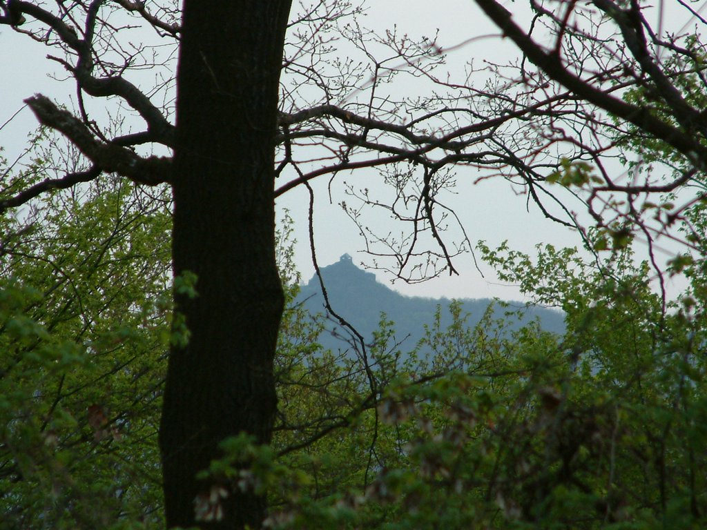 DSCF0022.JPG