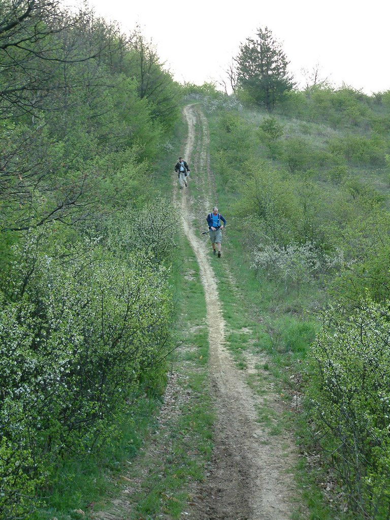 DSCF0024.JPG
