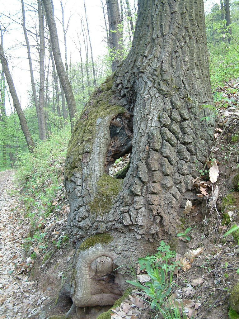 DSCF0030.JPG