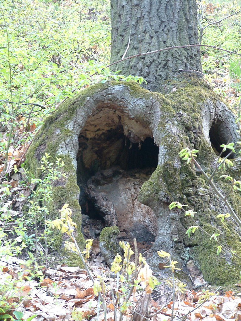 DSCF0031.JPG