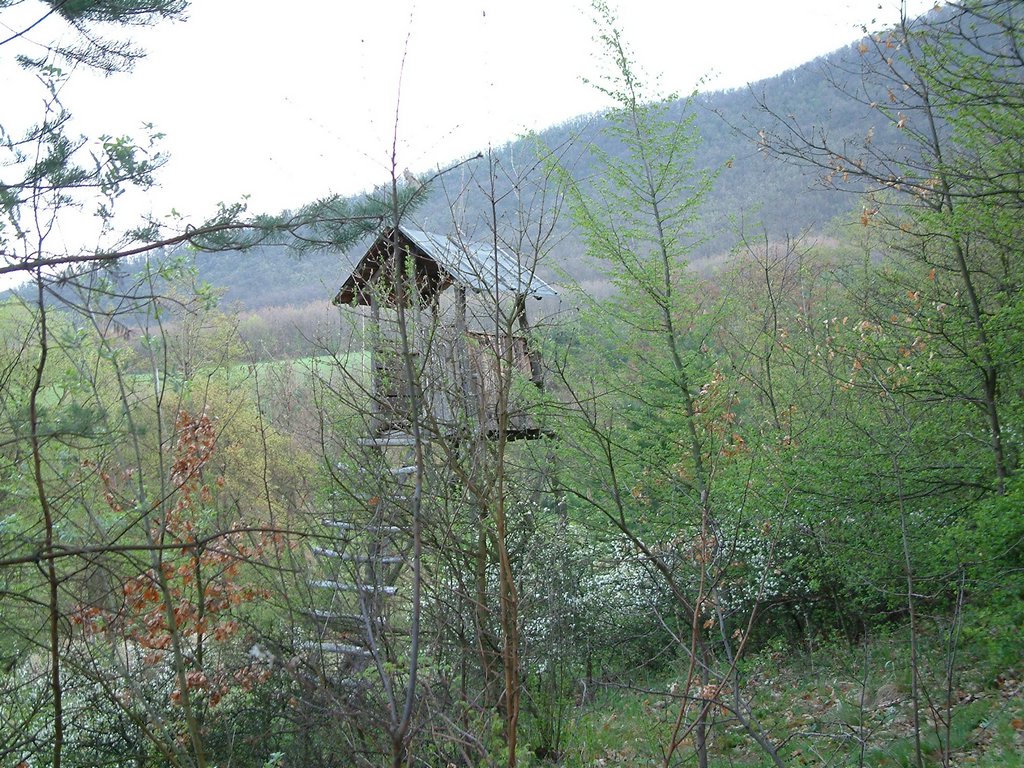 DSCF0032.JPG