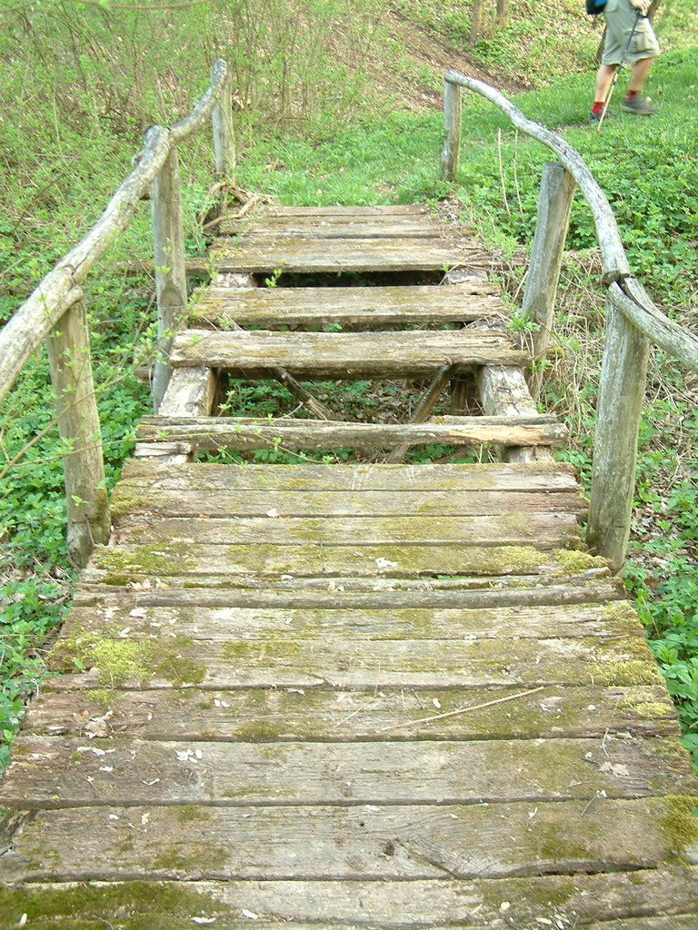 DSCF0037.JPG