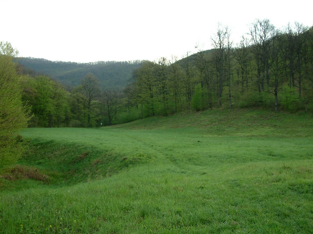 DSCF0041.JPG