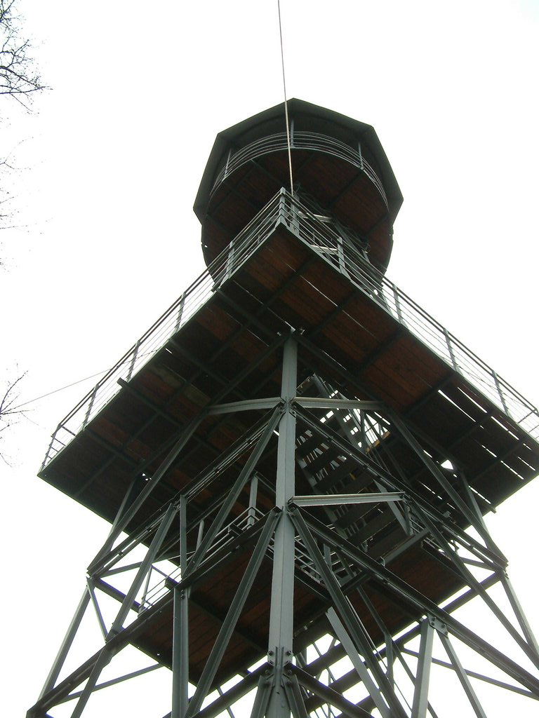 DSCF0058.JPG