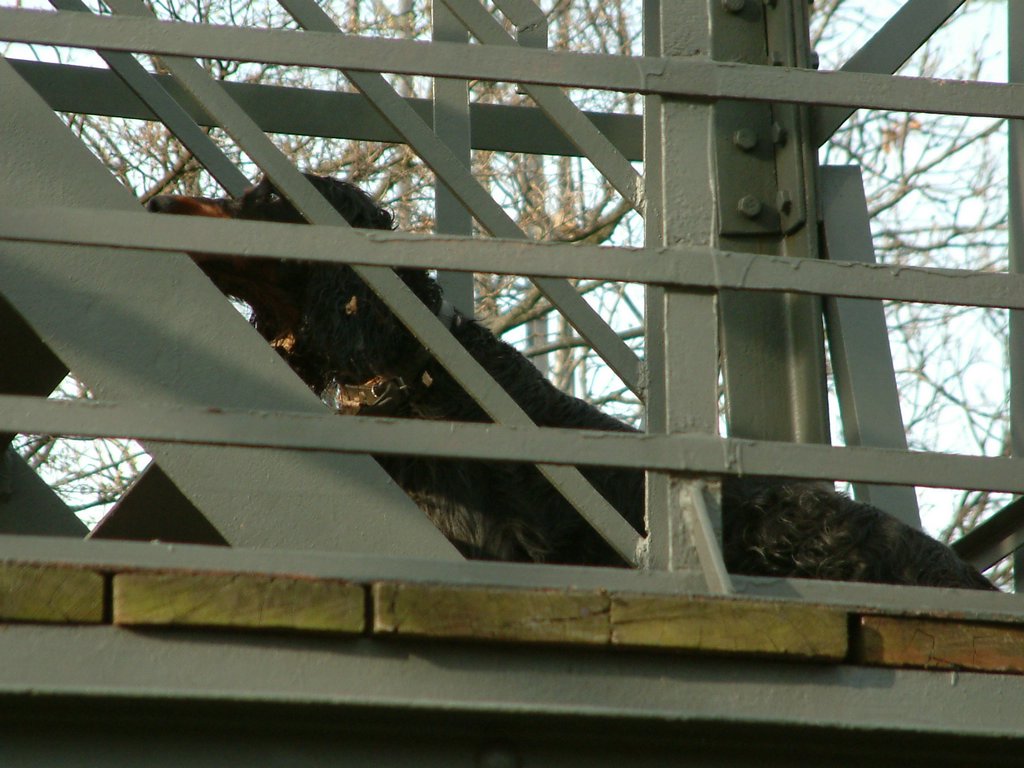 DSCF0077.JPG