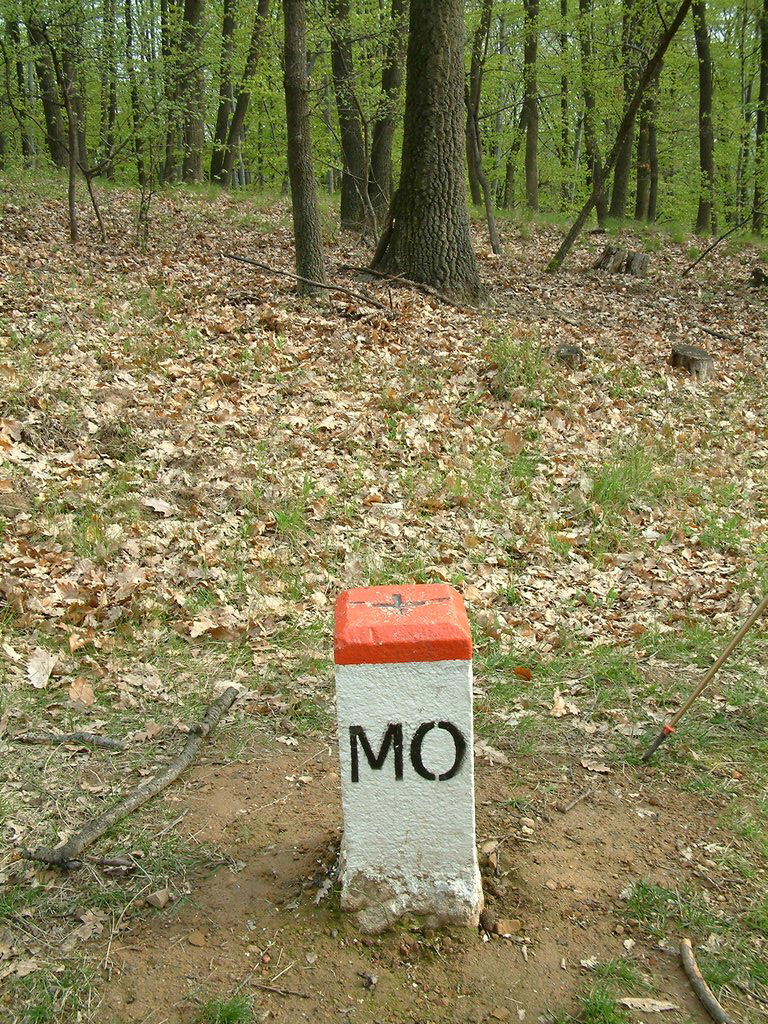 DSCF0078.JPG