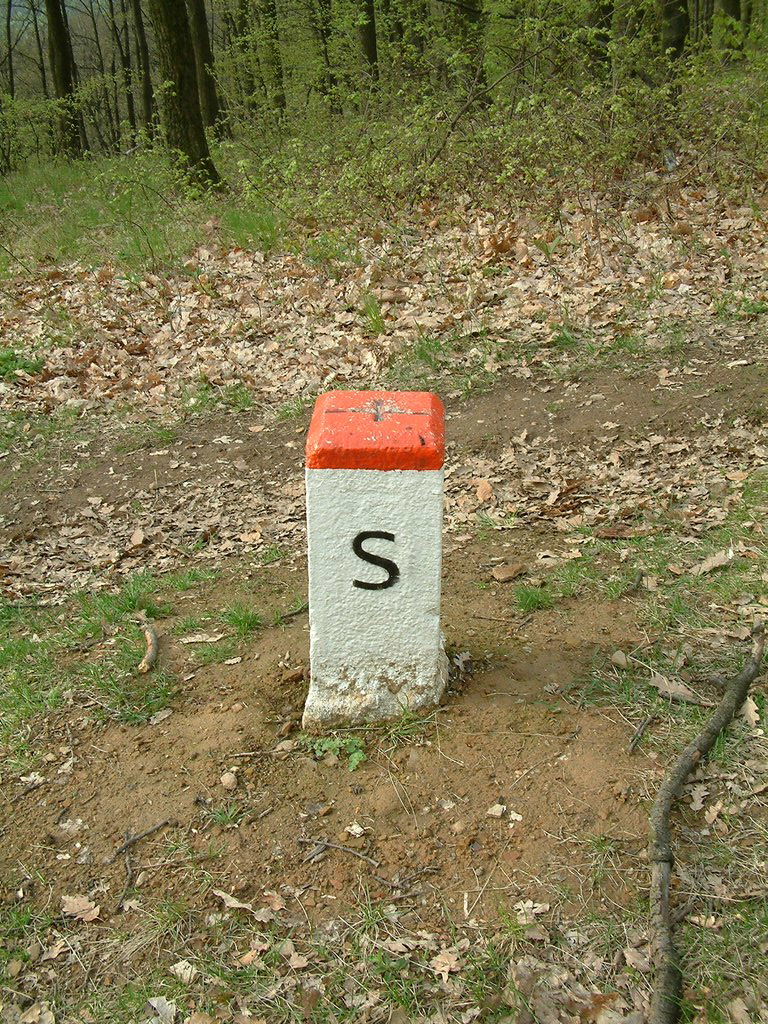 DSCF0079.JPG