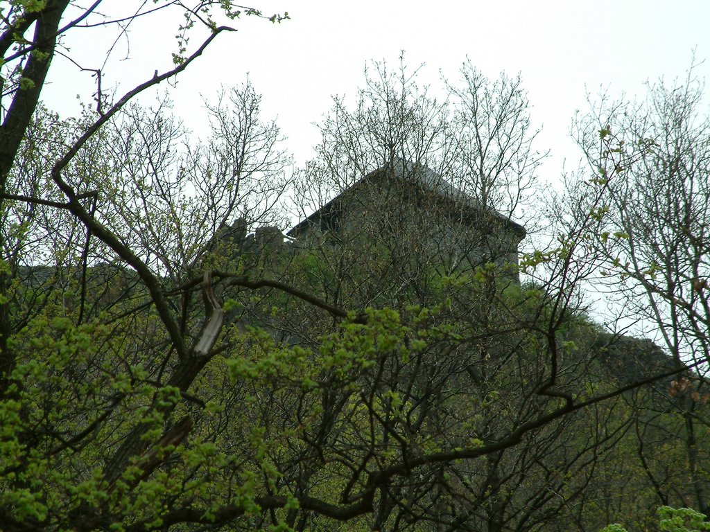 DSCF0088.JPG